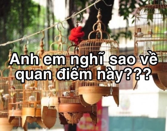 NUÔI CHIM LÀM SAO ĐỂ HÓT NHIỀU, CHƠI HAY