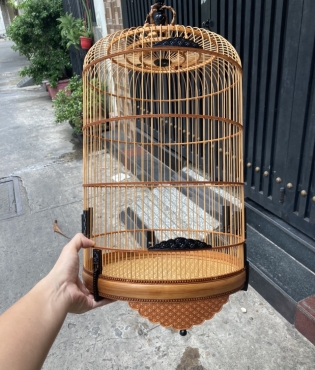 Cám chim chích chòe đất Hiển Bảo Khánh số 1, 2, Sao ( dưỡng, thay lông,  căng lửa, hót đấu, mồi) | Shopee Việt Nam