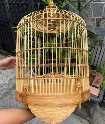 Mi, Khướu dơi chạm