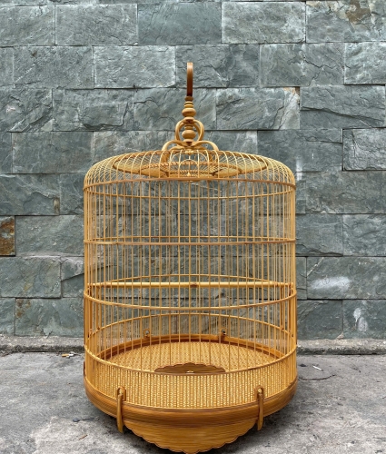 Lửa chạy chỉ
