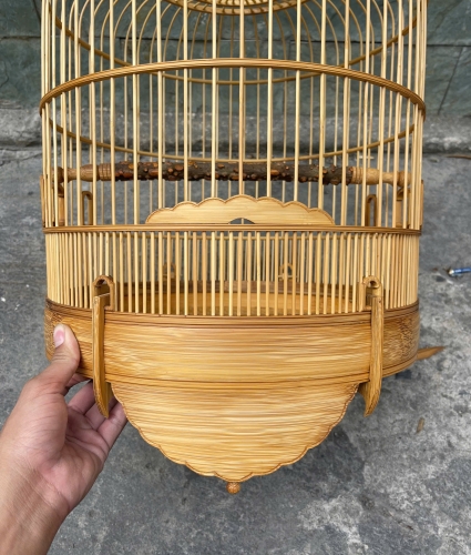 Mi Khướu chạy chỉ