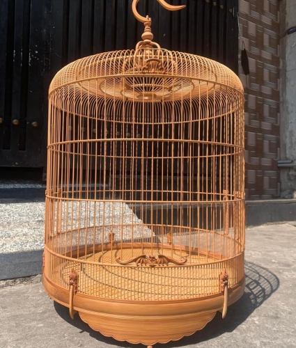 lửa size lớn 92-96-100