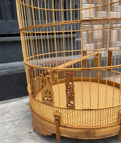 Than cửa dơi chạm vành
