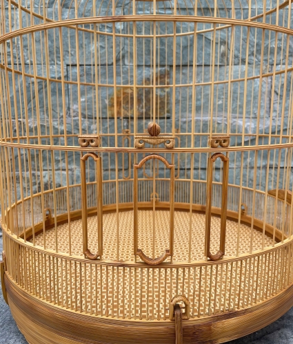 Lửa chạy chỉ