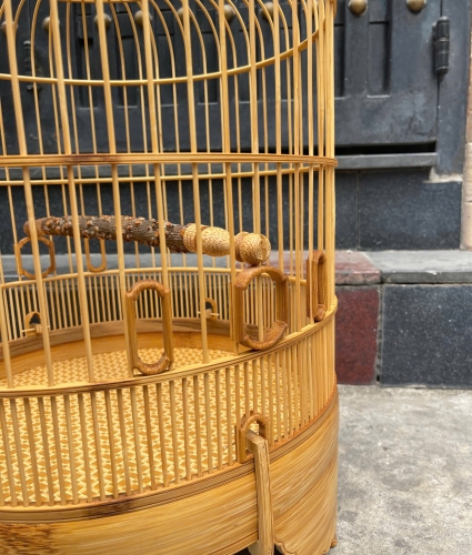 Mi Khướu chạy chỉ