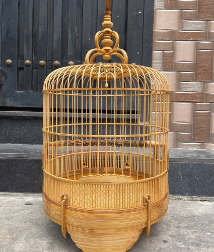 Mi Khướu chạy chỉ
