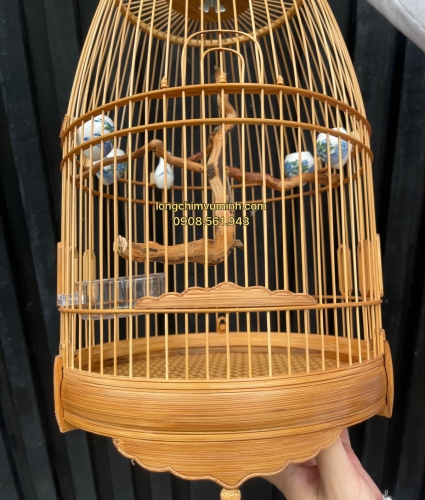 Lồng chum hút mật