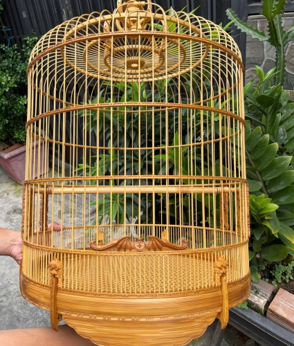Than cửa dơi chạm vành