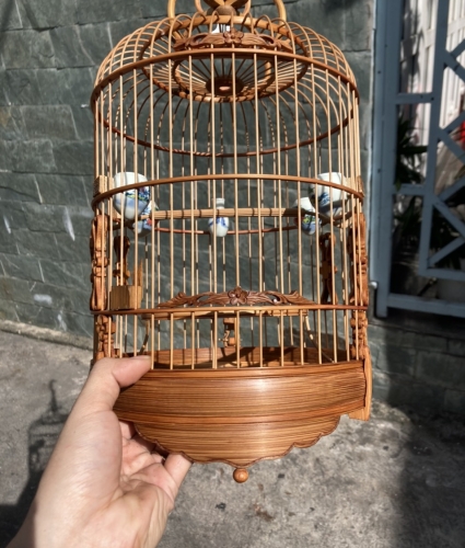 khuyên hoa mai