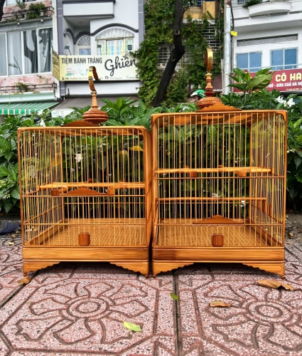 Bo Góc Bản nâng cấp