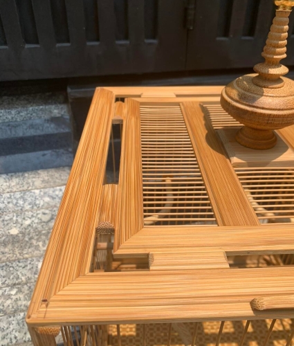 Lồng chào mào chân trụ