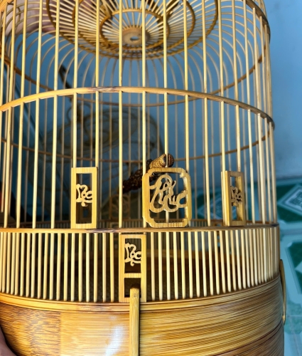 Mi Phúc Lộc Thọ