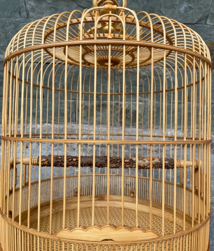 Mi Khướu chạy chỉ