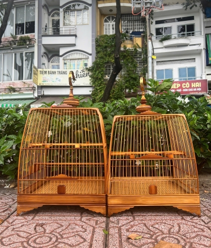 Bo Góc Bản nâng cấp