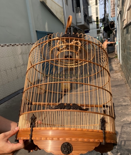 68nan Phối Mun sừng