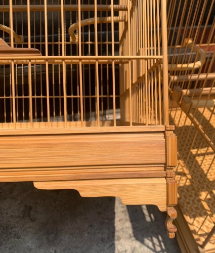 Lồng chào mào chân trụ