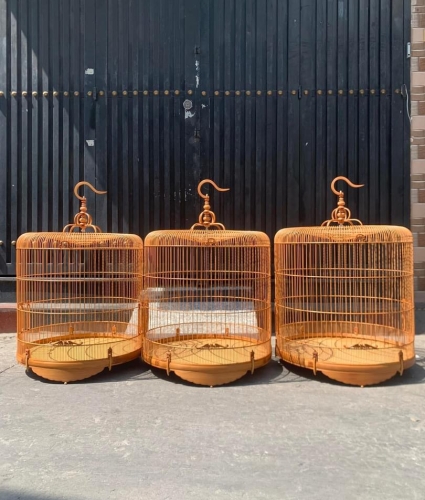 lửa size lớn 92-96-100
