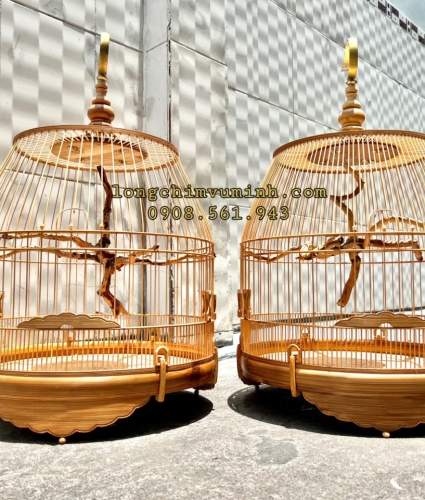 Lồng chum Cầu Rễ chống ngoái