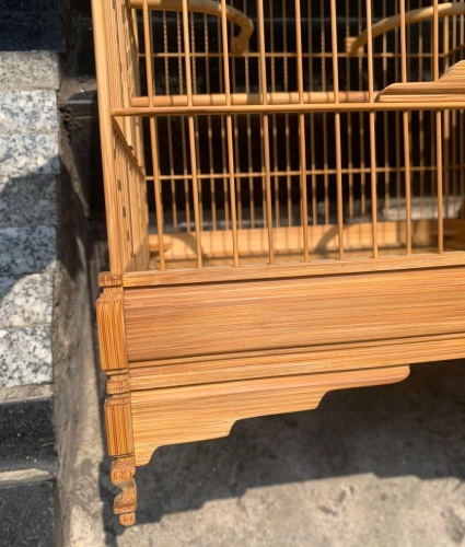 Lồng chào mào chân trụ