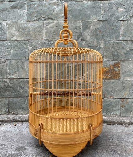 Mi Khướu chạy chỉ