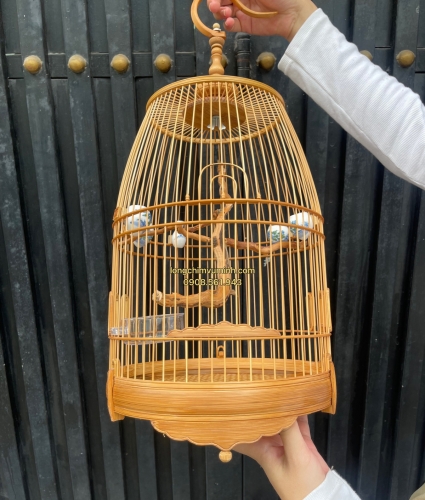 Lồng chum hút mật