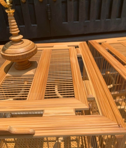 Lồng chào mào chân trụ