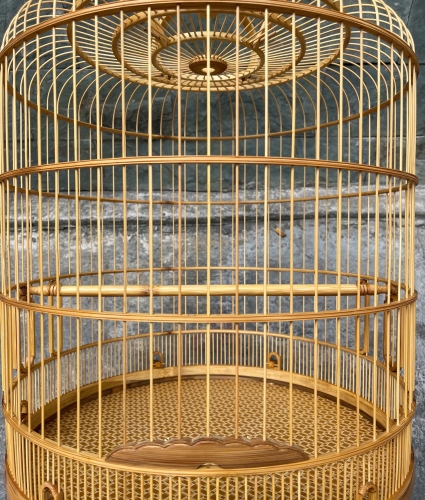 Than chạy chỉ 