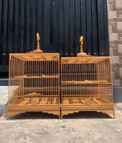 Lồng chào mào chân trụ