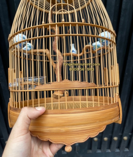 Lồng chum hút mật