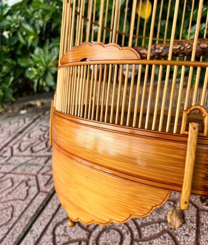 Lồng Mi , Khướu trơn
