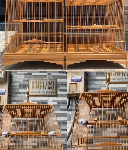 Lồng chào mào chân trụ