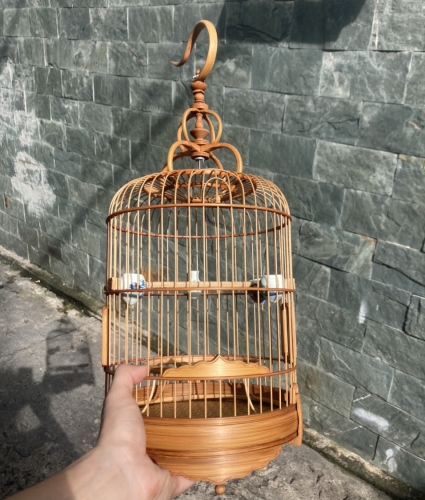 khuyên bố lủng