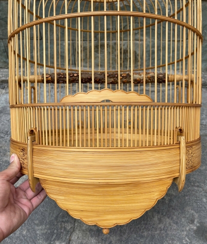 Mi Khướu chạy chỉ