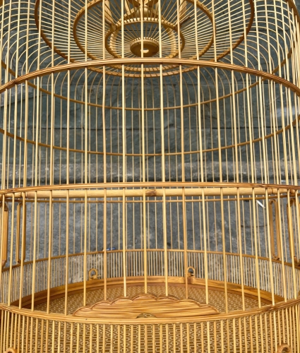 Lửa chạy chỉ