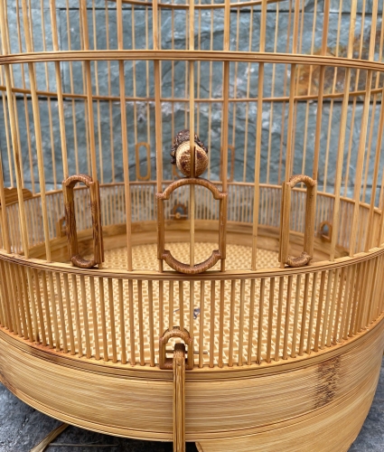 Mi Khướu chạy chỉ