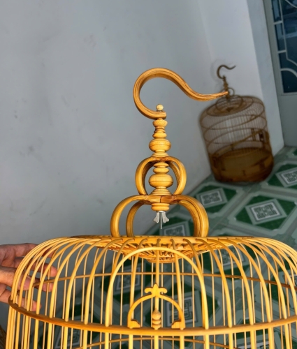 Mi Phúc Lộc Thọ