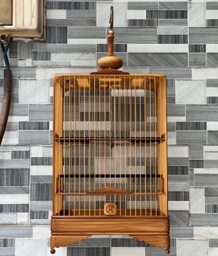 lồng hút mật bo góc tre già