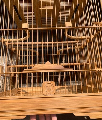 Lồng chào mào chân trụ