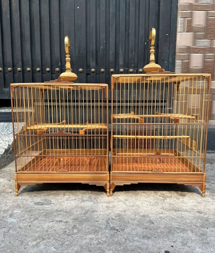 Chào mào báng súng mẫu mới