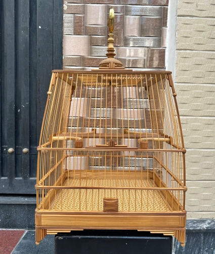 Lồng chào mào che góc