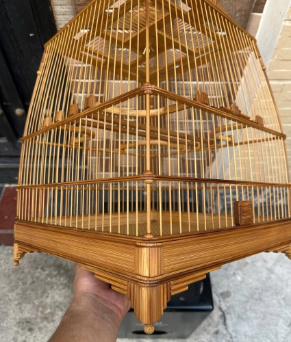 Lồng chào mào che góc