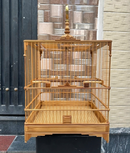 Lồng chào mào che góc