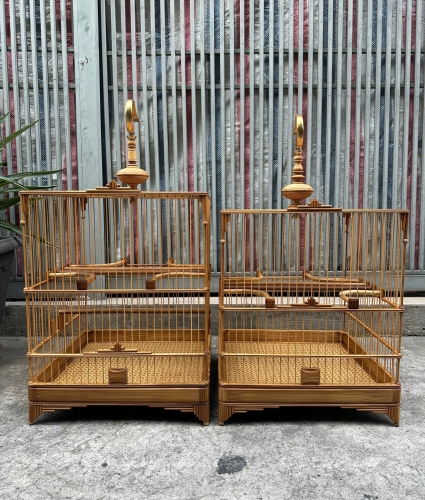 Lồng chào mào che góc