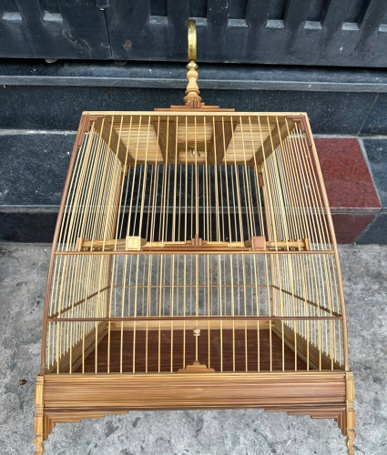 Chào mào báng súng mẫu mới