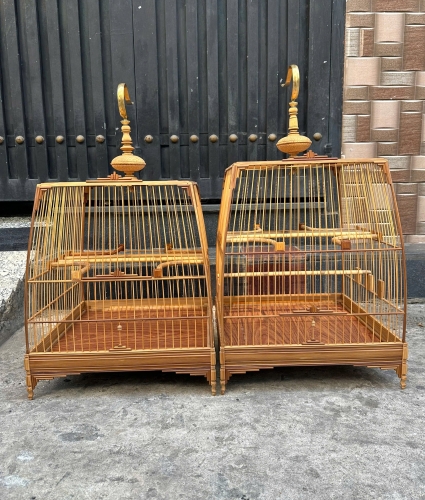 Chào mào báng súng mẫu mới