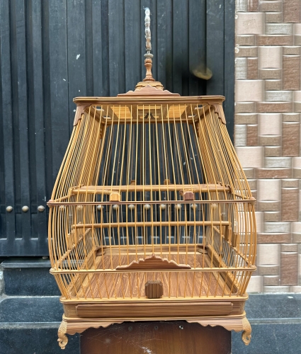 Chào mào đế chậu bông