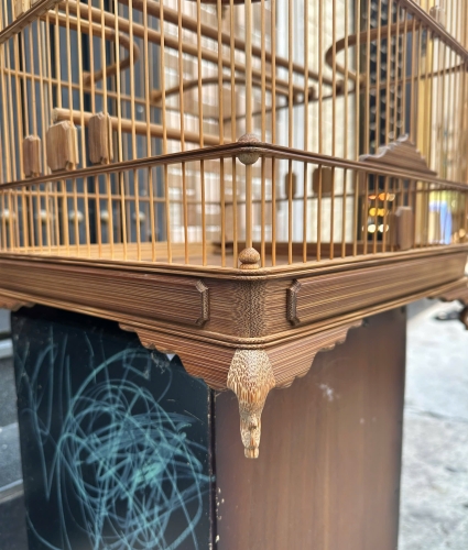 Chào mào đế chậu bông