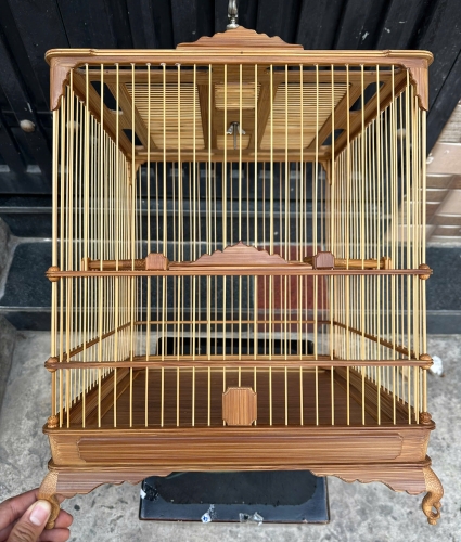 Chào mào đế chậu bông