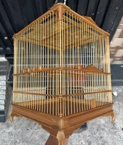 Chào mào đế chậu bông