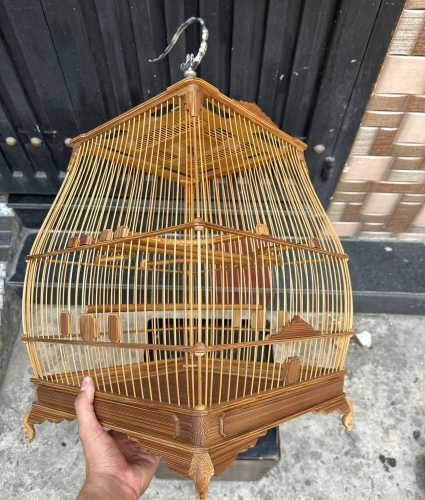 Chào mào đế chậu bông